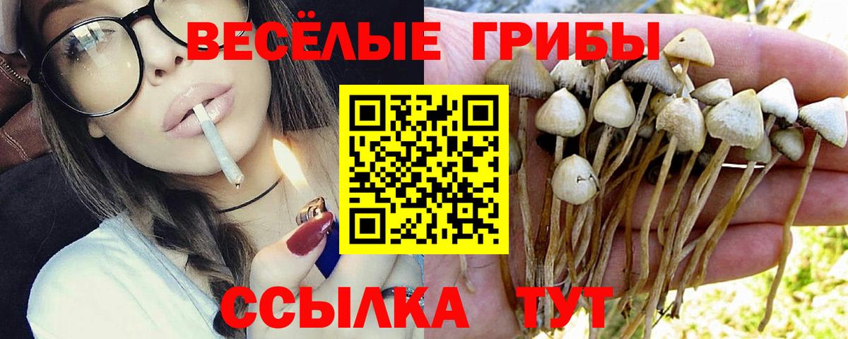 Псилоцибиновые грибы мицелий Родники